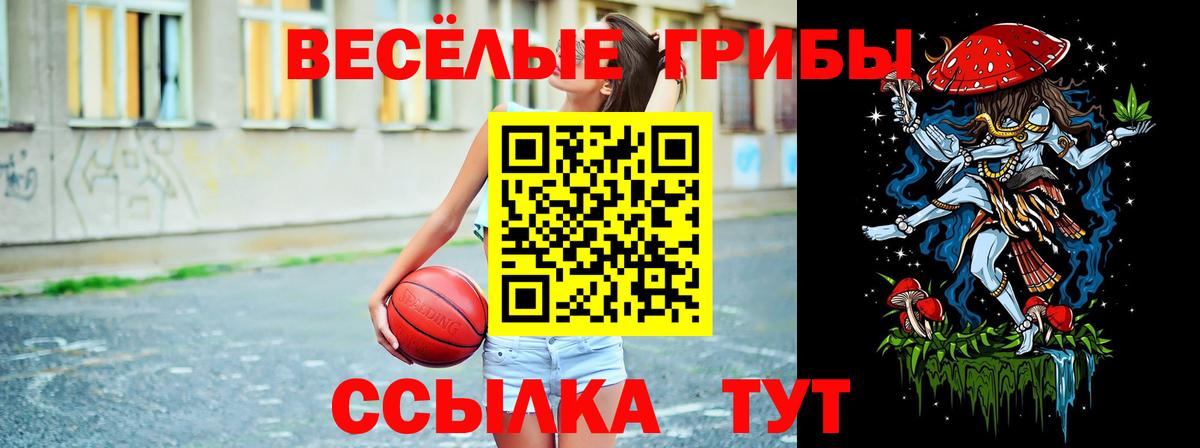 Рубцовск  Галлюциногенные грибы ЛСД  Галлюциногенные грибы мухоморы  Вход с VPN 